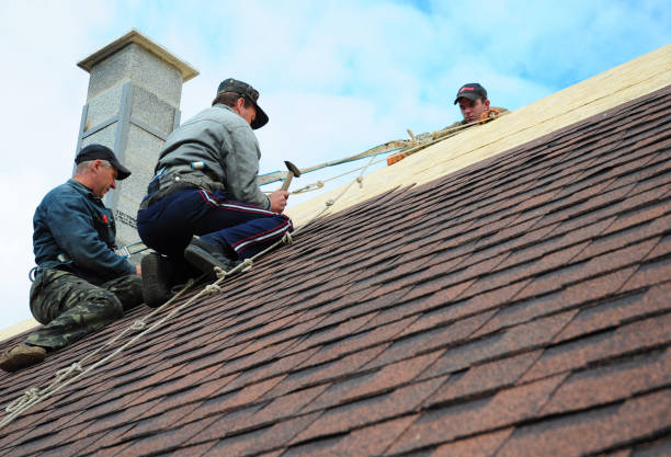 Best Residential Roof Replacement  in Kingsley, IA